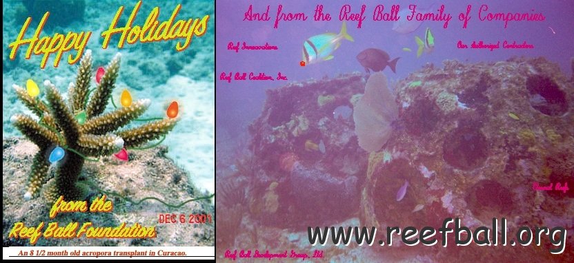 happyholidayfromreefball