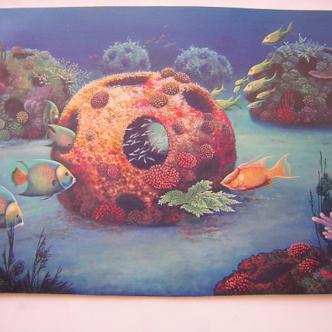 REEFBALLMEXICOARTWORK 001