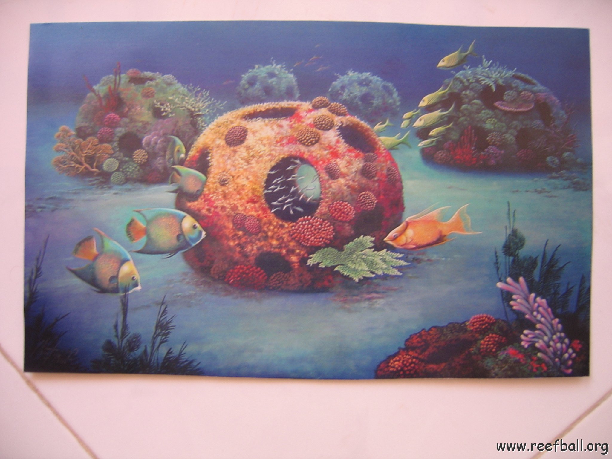 REEFBALLMEXICOARTWORK 002