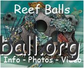 reef_ball_logomartincounty