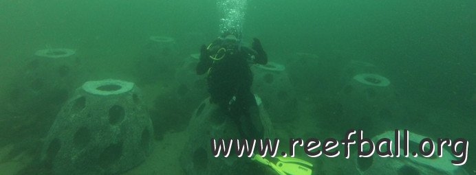 Reef-balls-with-diver-banner-692x255
