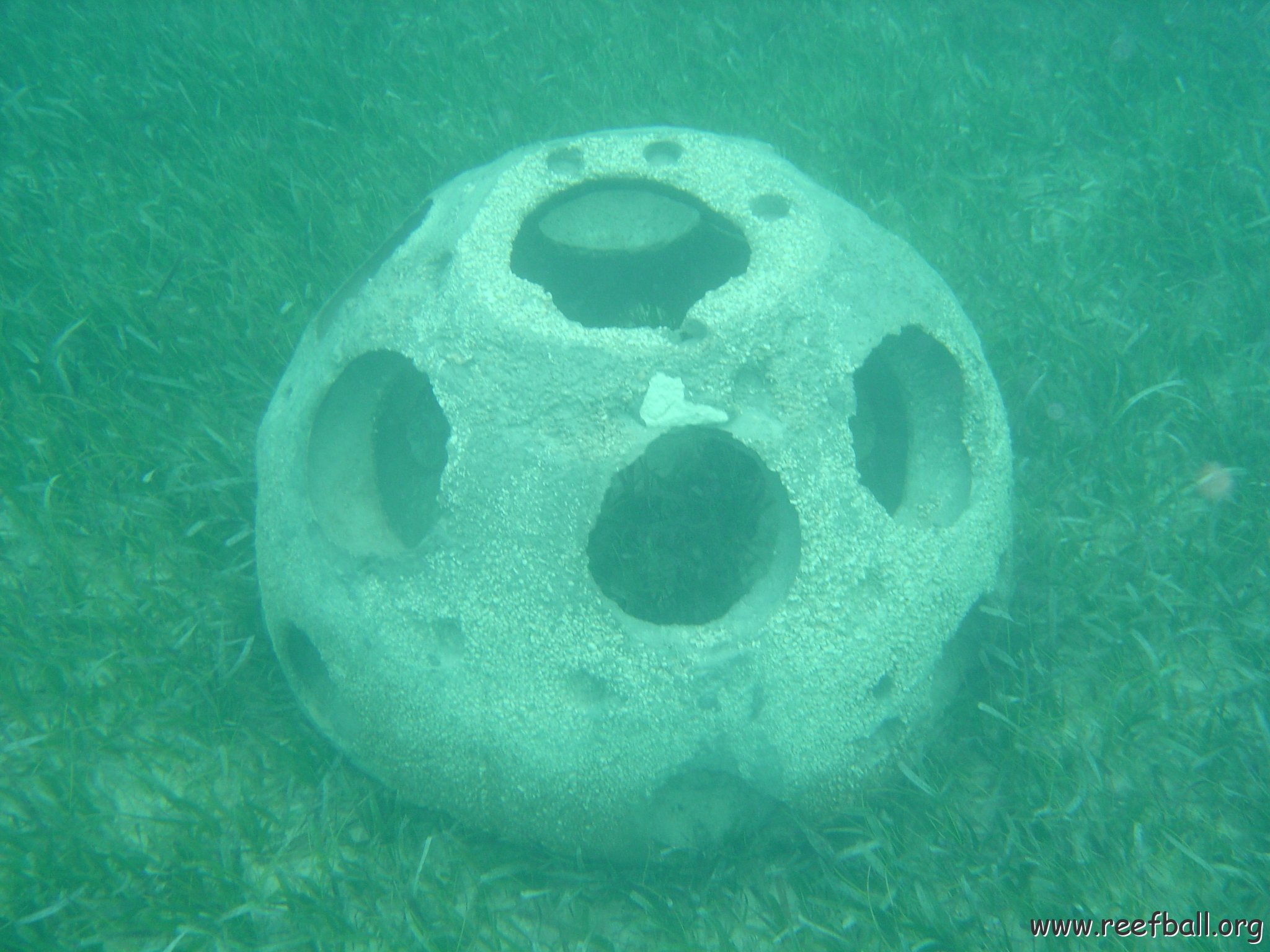 Reefball2004 002