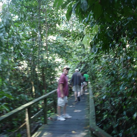 trip to Orangataun park (6)