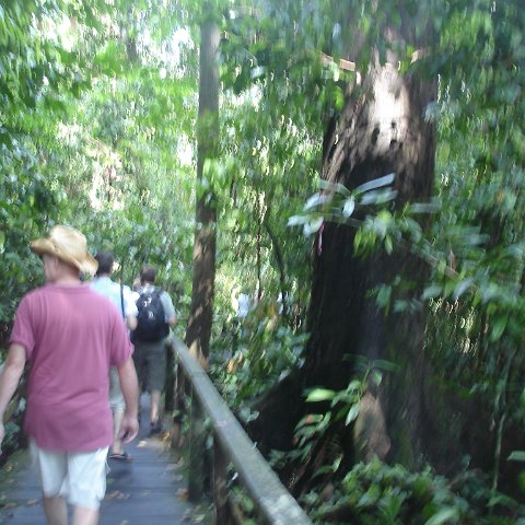 trip to Orangataun park (9)