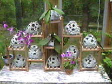 Models Used As Orchid	Pots