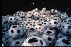 Millions of Reef Balls